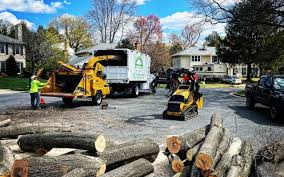 Best Tree Health Inspection  in Heritage Pines, FL