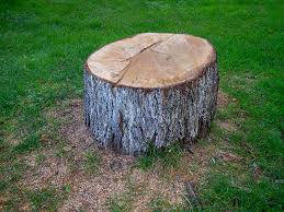 Best Lawn Grading and Leveling  in Heritage Pines, FL