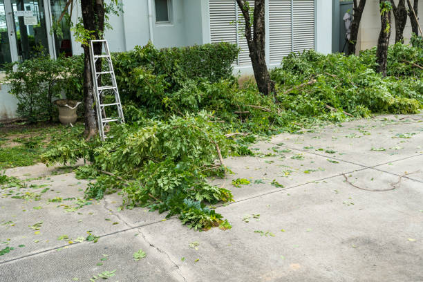Best Tree Risk Assessment  in Heritage Pines, FL