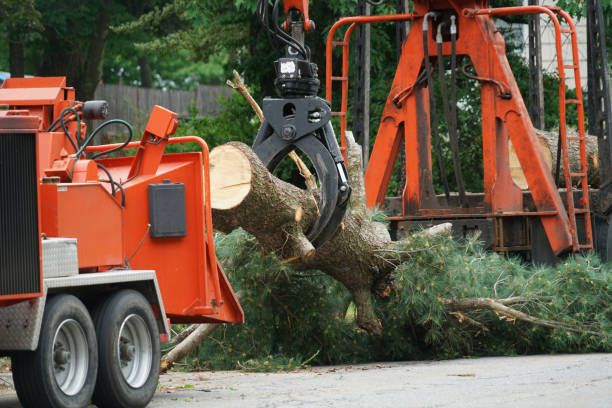 Best Pest Control for Lawns  in Heritage Pines, FL