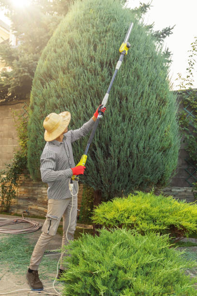 Best Lawn Watering Services  in Heritage Pines, FL